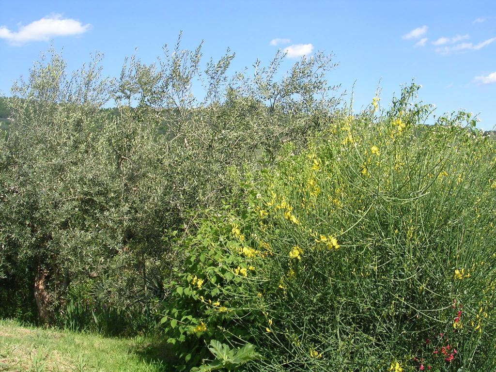 Guardalaluna Villa Pian di Scò Esterno foto